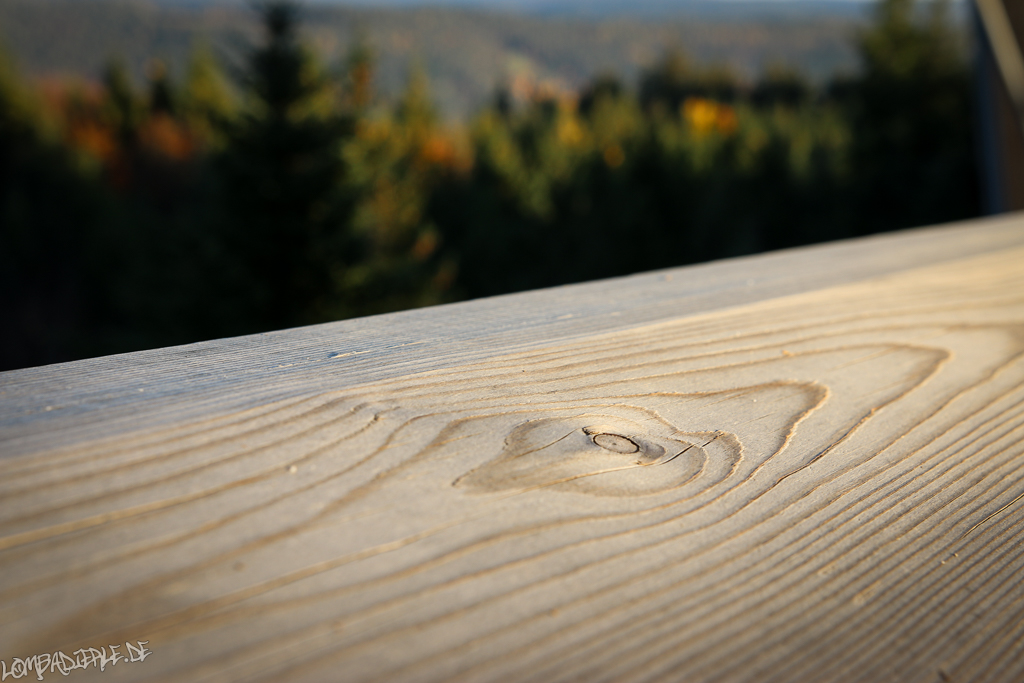 Baumwipfelpfad im Schwarzwald